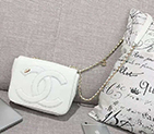 2019 Chanel FLAP BAG AS0321