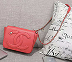 2019 Chanel FLAP BAG AS0321