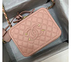 2019 Chanel Large Vanity Case A93344