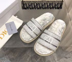 2023 Dior women shoes DSW0721