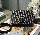 DIOR 30 MONTAIGNE 2-IN-1 POUCH M9204